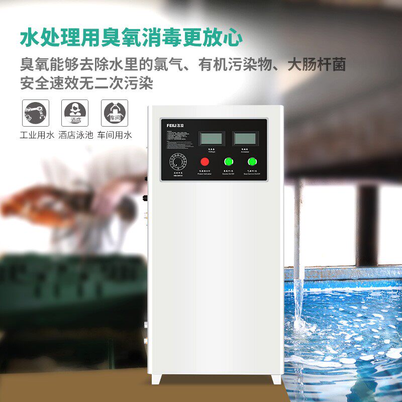 飞立臭氧发生器20g杀菌消毒活氧机30g自来水厂纯净水厂水处理40g