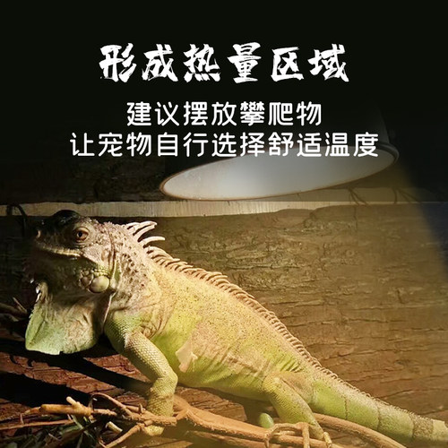 爬宠UVA加热日灯夜灯聚光灯蛇守宫鬃狮蜥蜴陆龟箱保温乌龟晒背灯