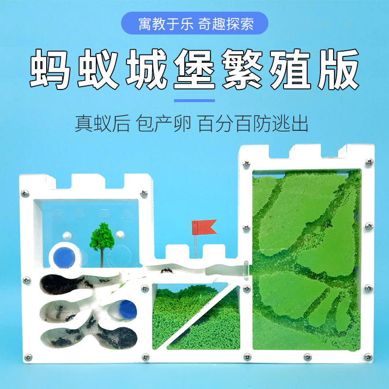 观察蚂蚁盒子屋宠物工坊城堡生态箱沙巢别墅家园繁殖版活体