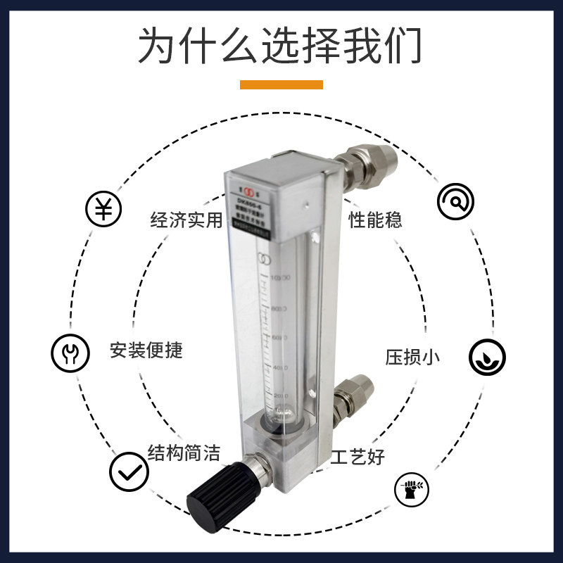 双环高压氧舱玻璃转子流量计DK800-6F O2 100-1000L氧气流量计表
