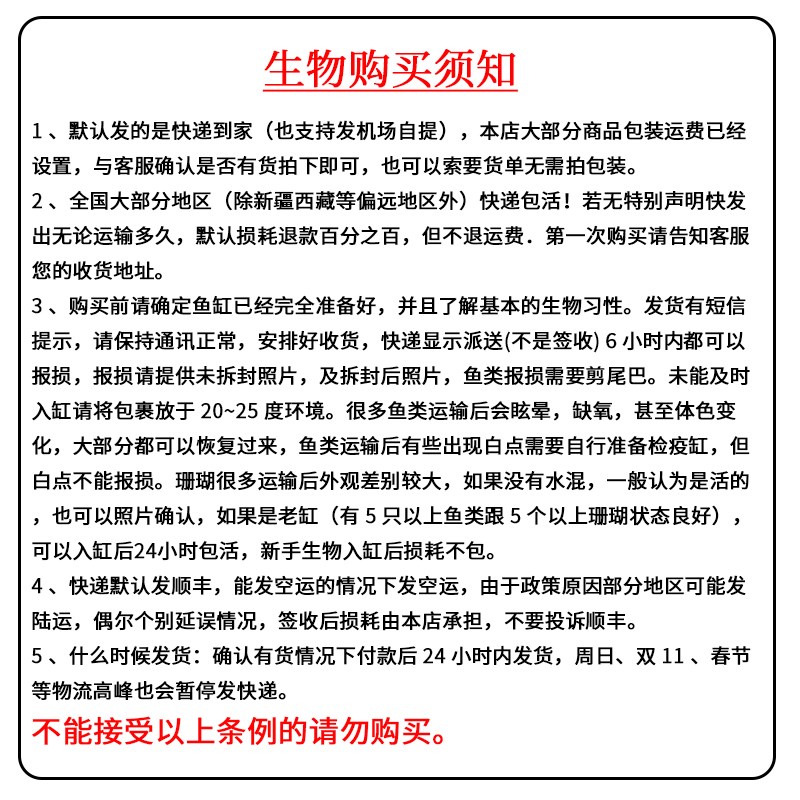 三角吊 海水观赏鱼活体珊瑚缸除藻食藻快递发货定水包活蓝吊类