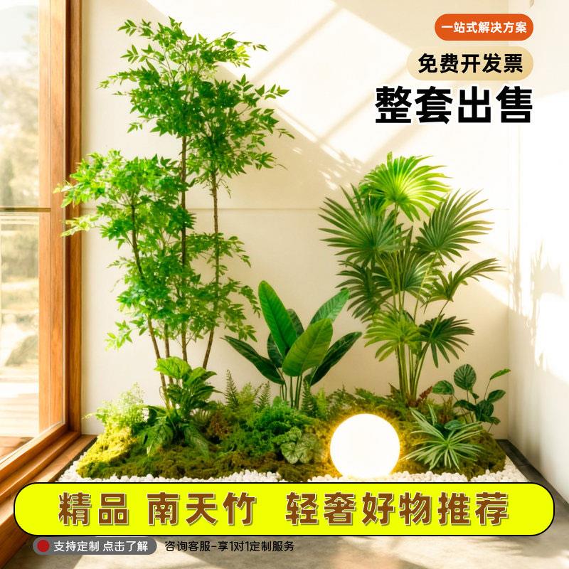 仿真绿植套装造景室内装饰植物四季常青无需养护造景美学