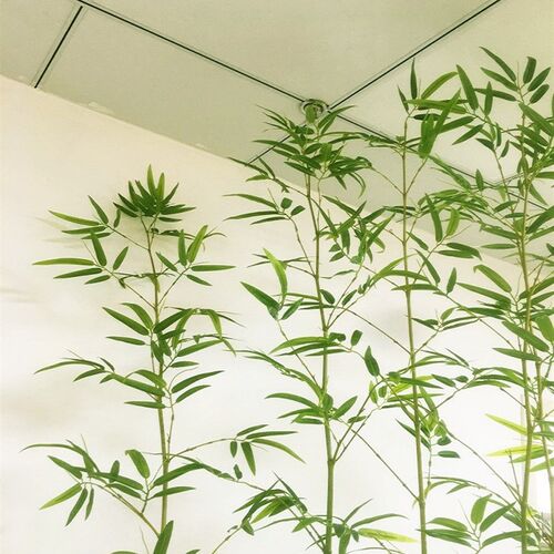 仿生竹子室外假竹子仿真植物隔断挡墙酒店专用仿真竹子装饰造景