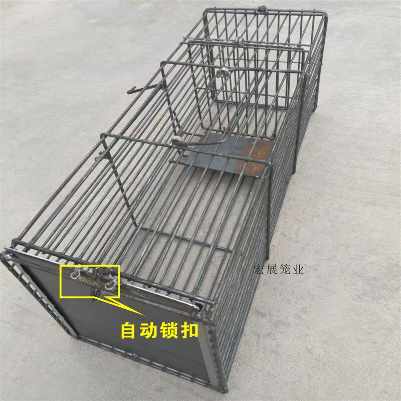 升级款抓捉老鼠笼流浪动物救助笼自动机关笼陷阱笼双门带锈物层