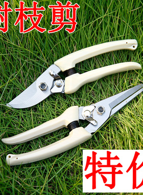 修枝剪 花剪树枝剪刀园艺剪园林剪果树五金工具修剪修花花艺葡萄