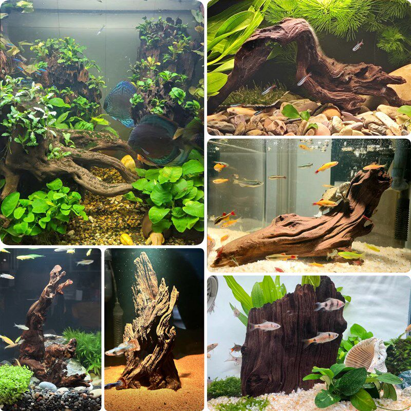 新品沉木鱼缸专用造景紫柚木树桩拱桥躲避免煮天然树根木乌龟晒台