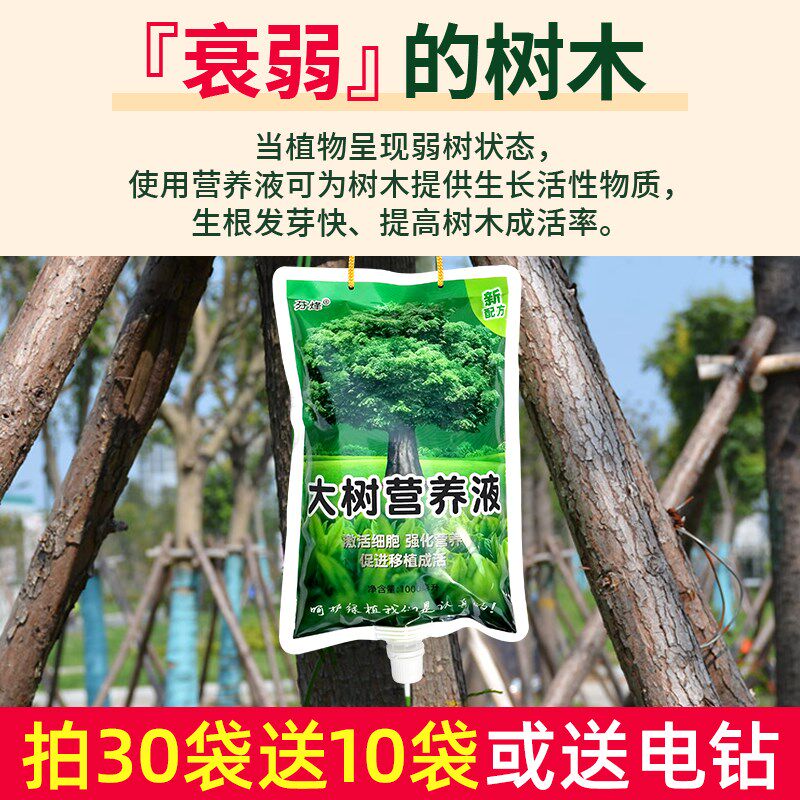 树木营养液吊针液大树吊针袋果树桂花树移栽栽树生根输液袋通用型