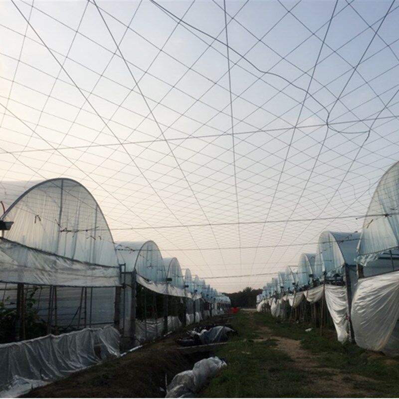 百香果搭架专用爬藤网种植网搭棚网网孔厘米棚架网5.9元一斤