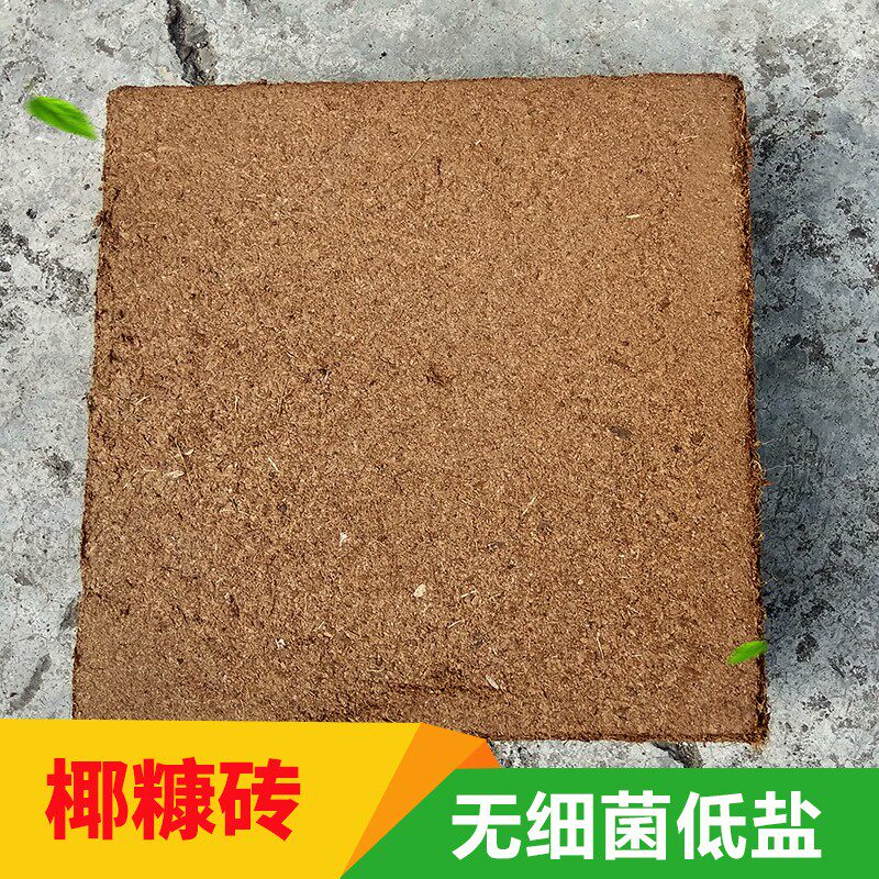 椰糠砖包邮进口大椰砖椰土椰粉营养土多肉土花泥花土基质宠物垫材