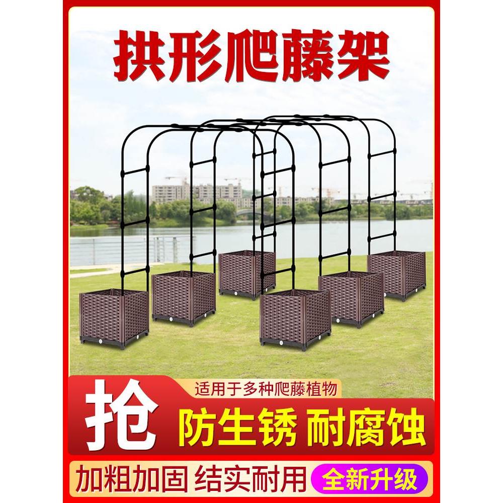 拱门爬藤架 鲜花铁艺花架 丝瓜黄瓜番茄园艺花架室外阳台葡萄架子