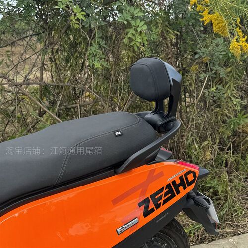 适用极核AE4铝合金靠背AE4se/max/proMY25靠垫电动车EZ4max后靠垫