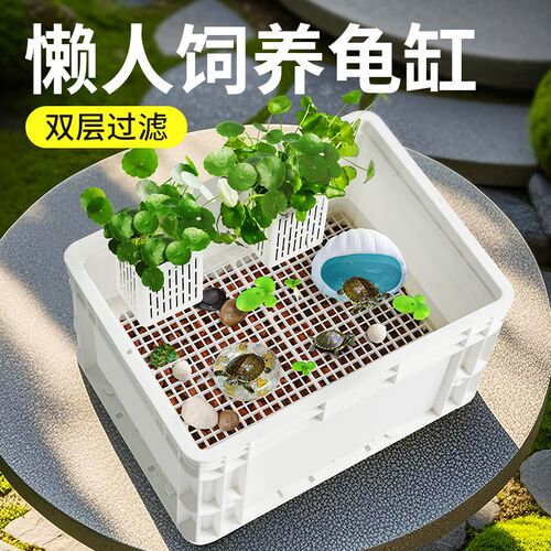 乌龟饲养缸新款免换水生态底滤水陆两栖造景爬宠缸家用可视周转箱