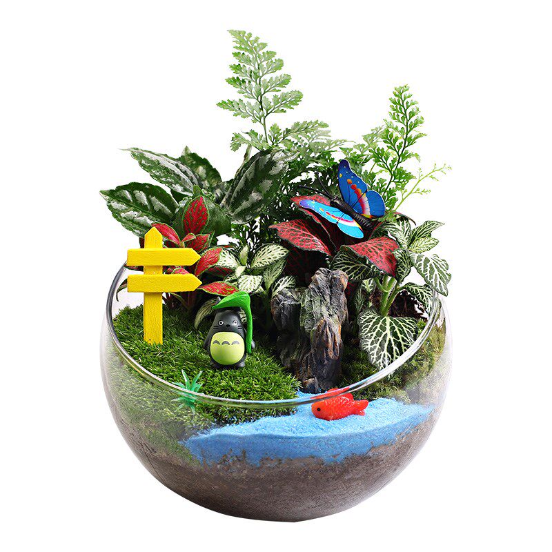暖场开业桌面微景观手工DIY材料包 苔藓微观造景植物生态瓶15切口