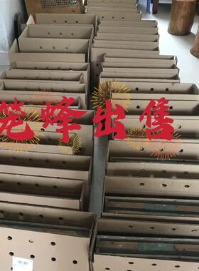 顺丰蜜蜂蜂群中锋带箱活群中华蜂土蜂笼蜂群重庆中蜂蜂群出售蜂王