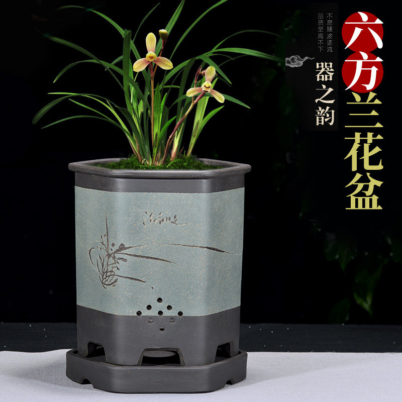中国风紫砂花盆兰花盆室内阳台桌面花卉绿植陶瓷花盆兰花专用盆栽