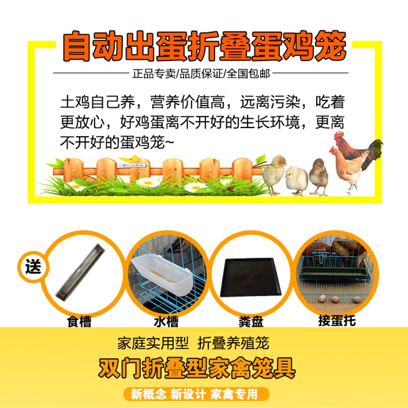 鸡笼子家用大号养殖场家禽蛋鸡笼自动滚蛋鸡笼田鸡笼运输鸡舍鸡笼