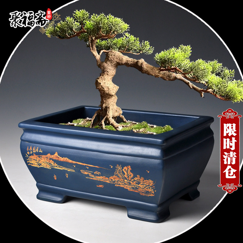 紫砂盆景盆 假山造景盆长方形马槽小叶紫檀文竹菖蒲盆栽花盆清仓