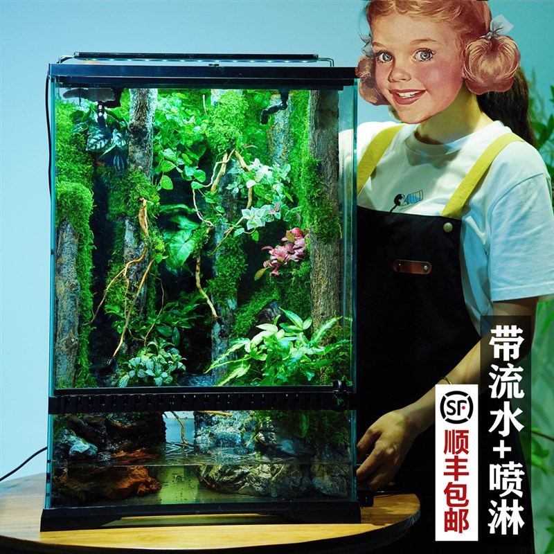 苔藓微景观雨林生态缸水陆缸玻璃生态闷养桌面创意盆景绿植可养鱼图片