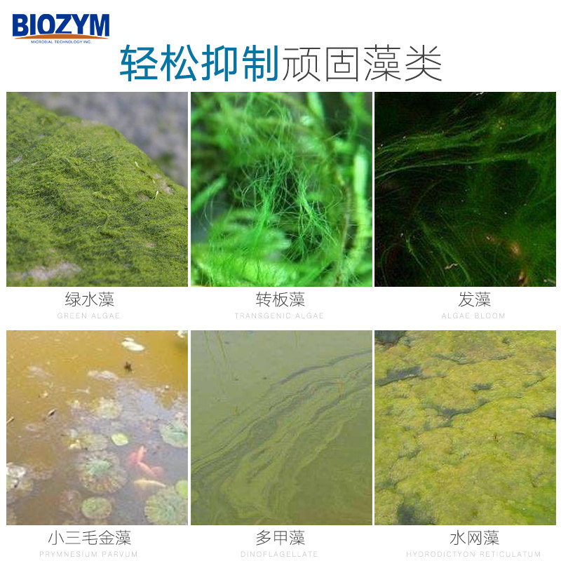 百因美鱼缸除藻剂去藻除绿水绿藻水族箱去苔剂除青苔不伤鱼褐藻剂