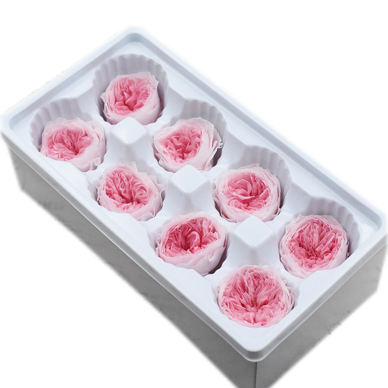 幻花永生花A级4-5奥斯汀8朵/盒diy花材材料包招财猫暴力熊奥斯丁