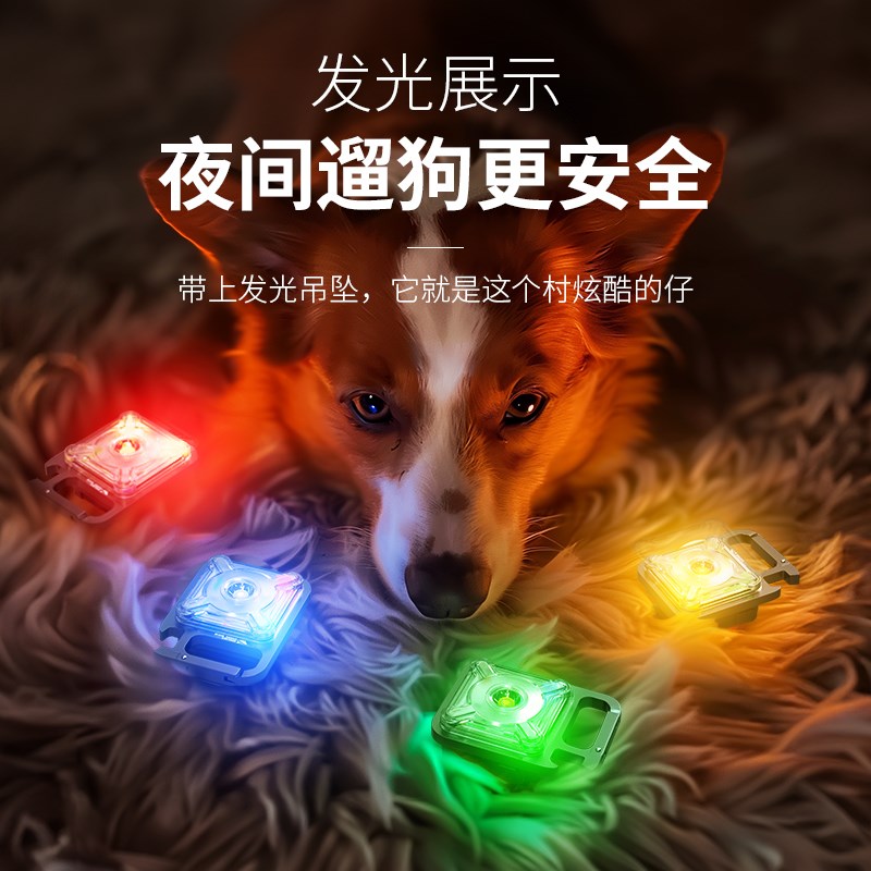 宠物发光项圈LED吊坠夜间遛狗灯猫狗夜行灯充电防水防走失灯反光