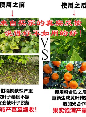 EDDHA-FE6螯合铁治黄叶缺铁补铁肥叶面肥黄叶变绿果树蔬菜黄化病