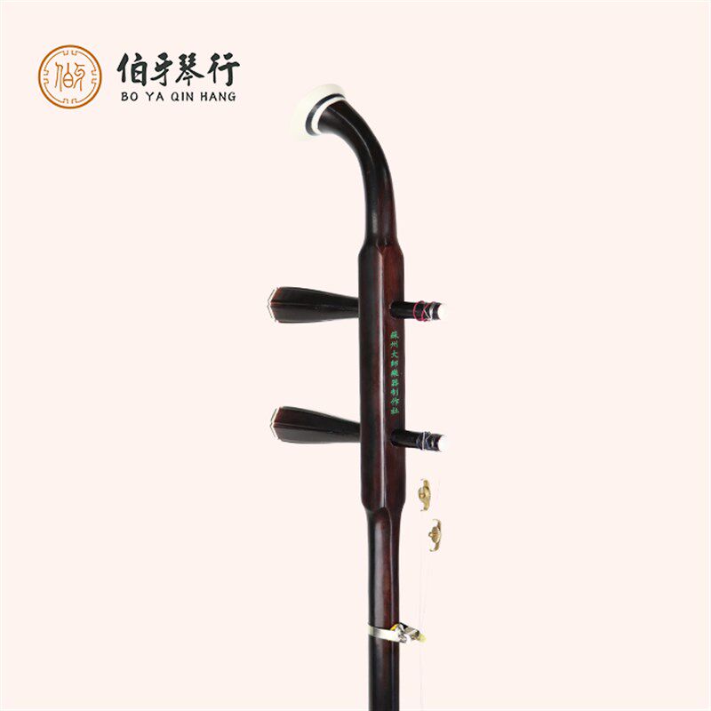 大师专业民族乐器儿童二胡小型尺寸小孩学龄前儿童学习使用乐器