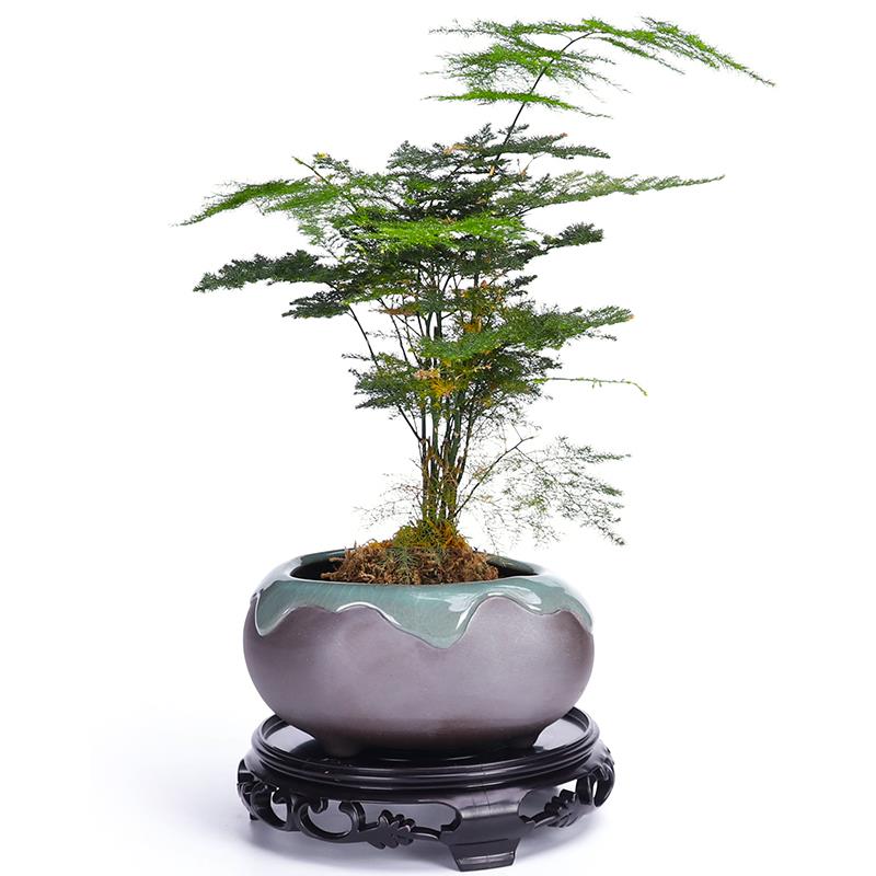 仿木质中式鱼缸奇石花盆托盘加厚底盘垫接水盘圆形底托底座长方形