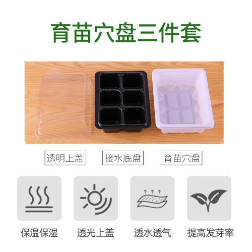 育苗神器专用盆扦插育苗穴盘长方形托盘营养杯塑料钵芽菜盒箱苗盘
