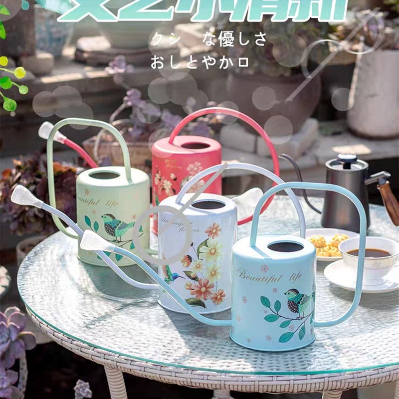 植物浇花水壶不锈钢喷壶长嘴洒水壶家用园艺浇花壶浇水神器淋花壶