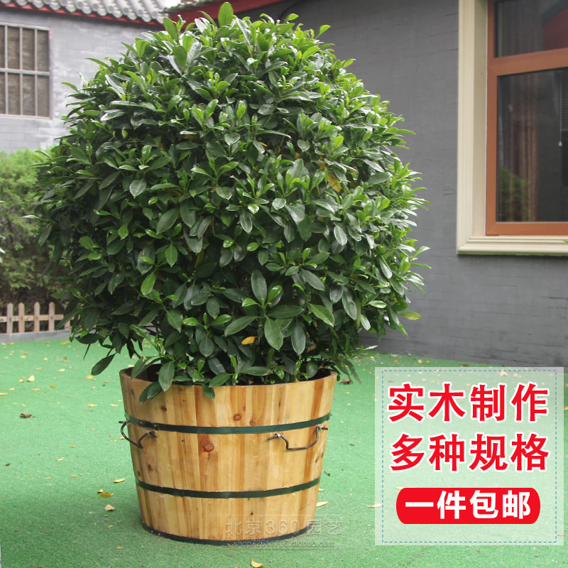 大树盆超大木桶大花盆特大实木加厚盆景种树盆庭院户外种植箱包邮