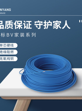 南洋国标 铜芯电线BV1.5 2.5 4 6 10六平方家装用单芯硬线零散剪