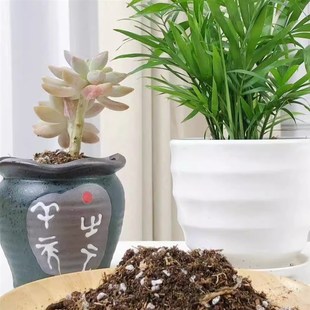 山南三通用营养土月季绣球喜酸花卉优质泥炭草炭酸性介质配方土
