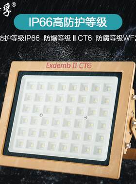温特孚led超亮防爆灯防腐户外投光灯加油站隧道泛光灯化工厂照明