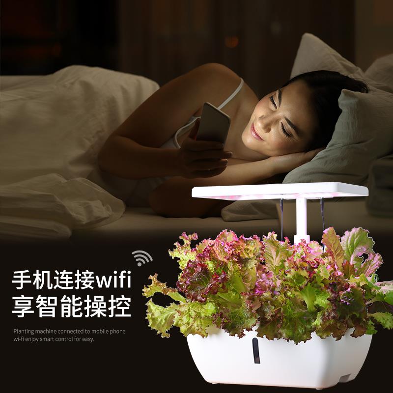 无土栽培种菜机室内智能蔬菜种植机纯水培设备家庭种菜箱育苗水耕