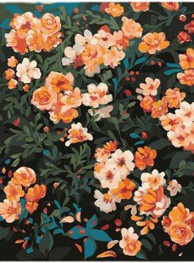 数字油画diy卧室手绘手工填充填色清新治愈花卉油彩挂画 夏橙熟了