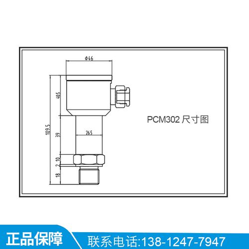 PCM302 防爆型压力变送器 全不锈钢 船用防爆扩散硅压力变送器
