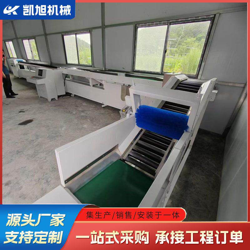 凯旭电子水果分选机 柿子重量无损选果机 软籽石榴重量筛选机