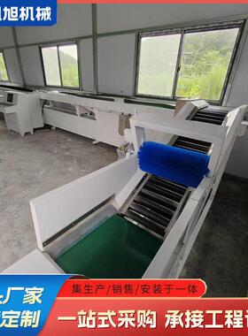 凯旭电子水果分选机 柿子重量无损选果机 软籽石榴重量筛选机