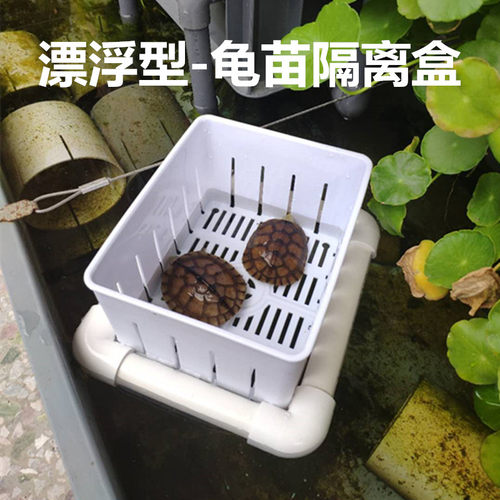 乌龟苗隔离盒多功能塑料龟箱分开养殖盒鱼缸热带鱼孵化盒饲养盒