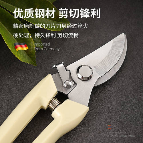 园艺剪刀修枝剪家用修剪树枝果树竹签园林花卉专用花艺剪子摘果剪