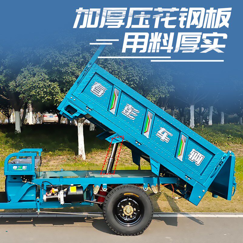 液压自卸电动三轮车拉货新款自动翻斗载重王货车大功率农用电瓶车