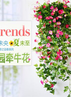 田园风格仿真牵牛花套装 壁挂墙面绿植摆设 塑料花藤蔓吊挂式仿真