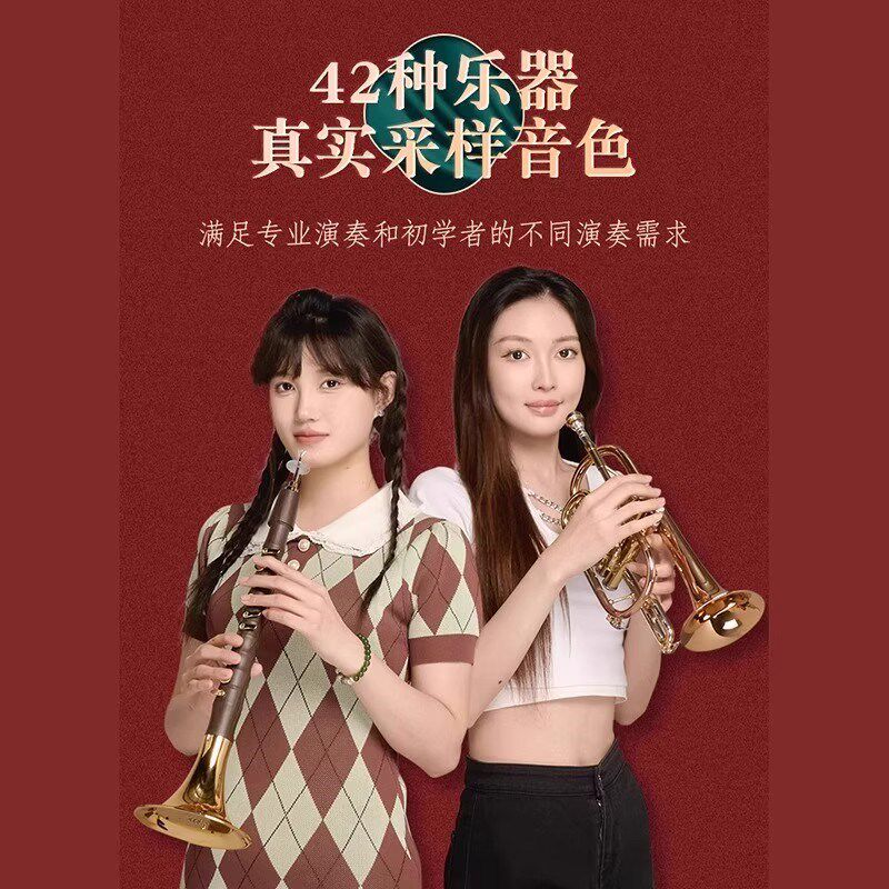 华夏之韵电唢呐乐器国产电子吹管唢呐电子笛电萨初学乐器电葫芦丝