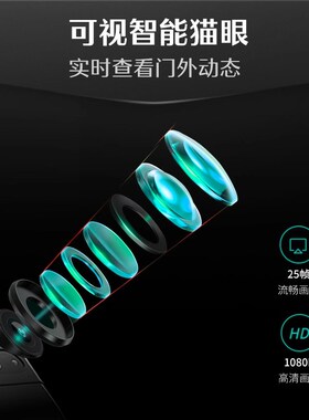 德施曼密码锁指纹锁家用防盗门全自动可视猫眼智能锁大圣Q5Mplus