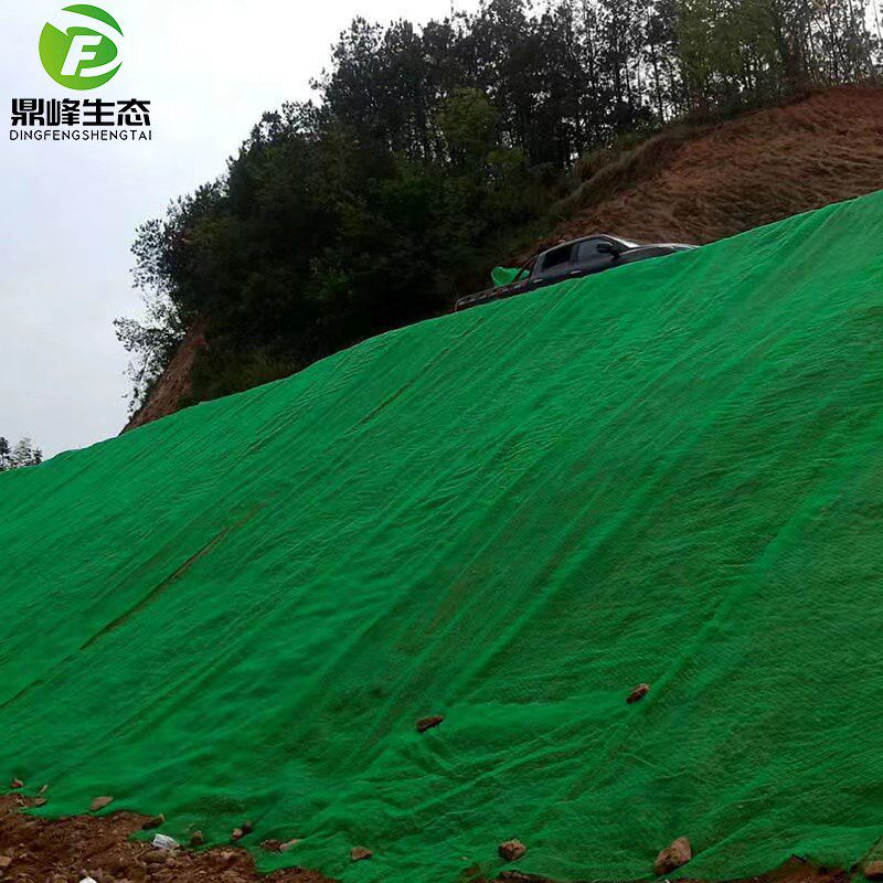 三维植被网护坡固土网三维网垫绿化高速边坡生态绿化植草网