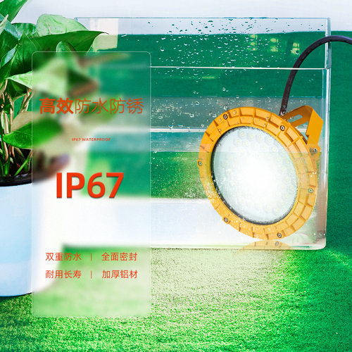 低压12V24V36Vled防爆灯仓库厂房127V矿井探照投光射灯防水泛光灯