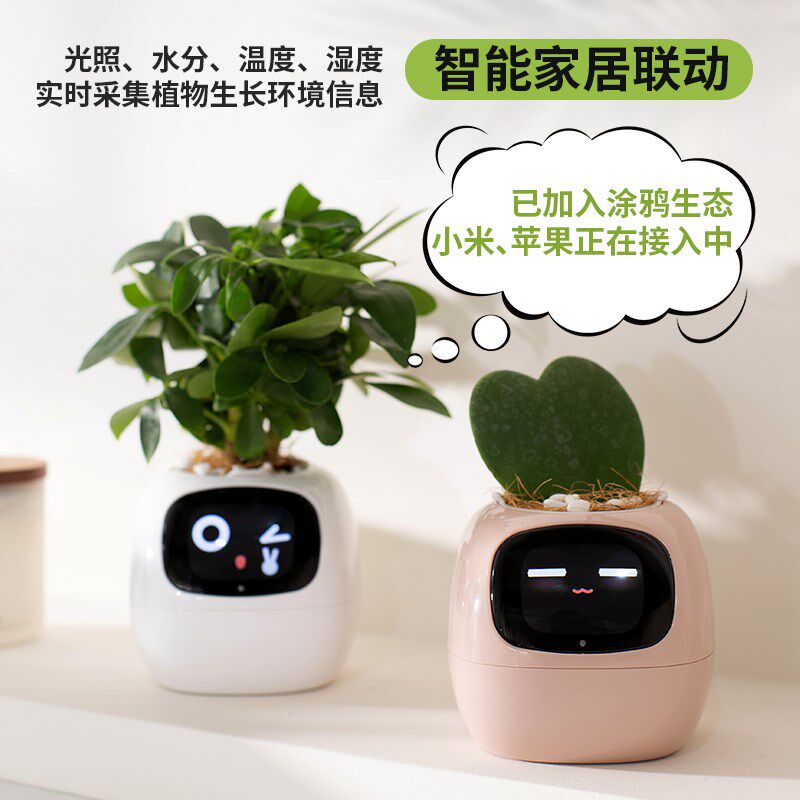 IVY智能小花盆情绪绿植摆件盆栽机器人创意生日礼品女神节礼物