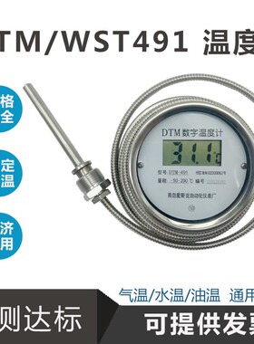 数显温度计 WST/DTM491高精度耐酸碱防水带探头 数字工业测水温计