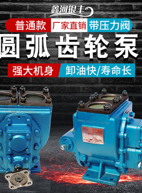 圆弧齿轮泵高粘度柴油汽油防爆抽油泵洒水油罐大流量小型车载油泵